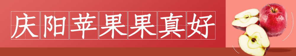 慶陽蘋果果真好